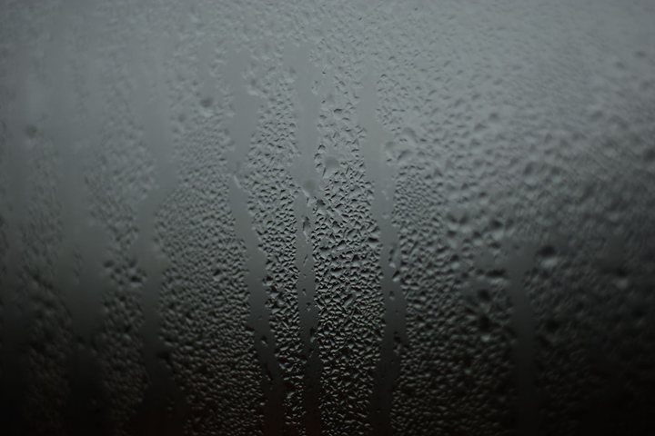 窓の結露は朝の換気と拭き取りで減らす——水分を増やさない3つの工夫
